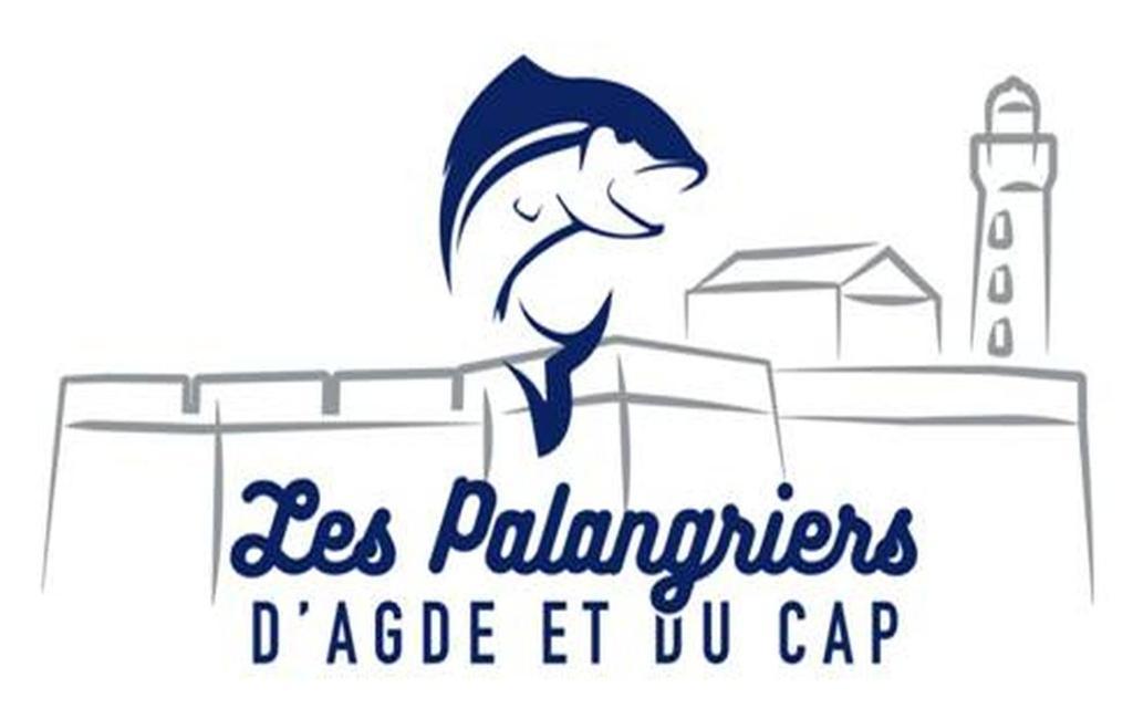 Camping Mobil Climatise Avec Terrasse Dans L'escale, Calme A 900m De La Agde